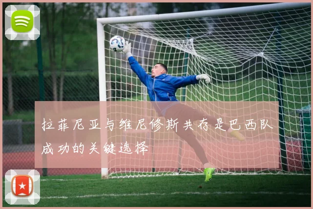 拉菲尼亚与维尼修斯共存是巴西队成功的关键选择