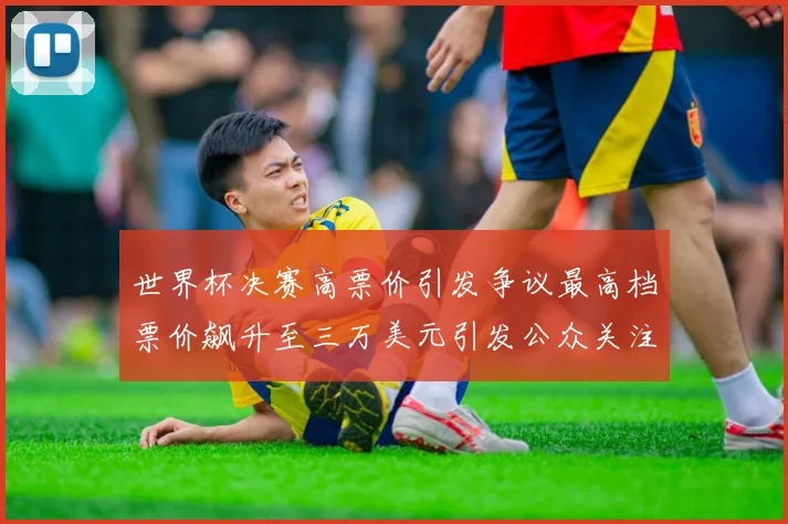世界杯决赛高票价引发争议最高档票价飙升至三万美元引发公众关注