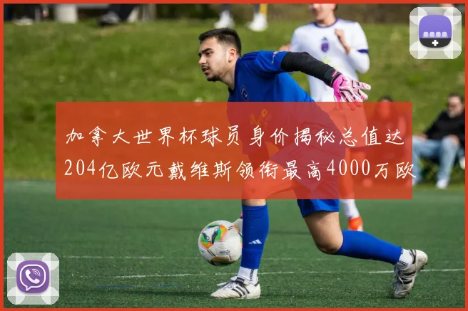 加拿大世界杯球员身价揭秘总值达204亿欧元戴维斯领衔最高4000万欧
