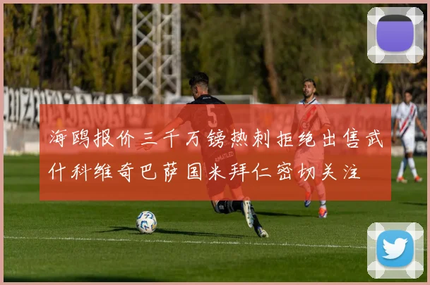 海鸥报价三千万镑热刺拒绝出售武什科维奇巴萨国米拜仁密切关注